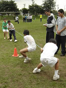 juegos de feria